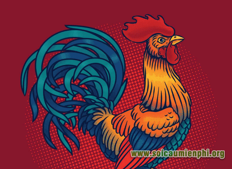 Mơ thấy con gà trống