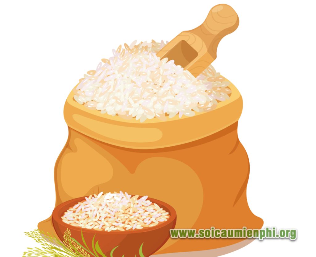 Mơ thấy gạo đầy nhà