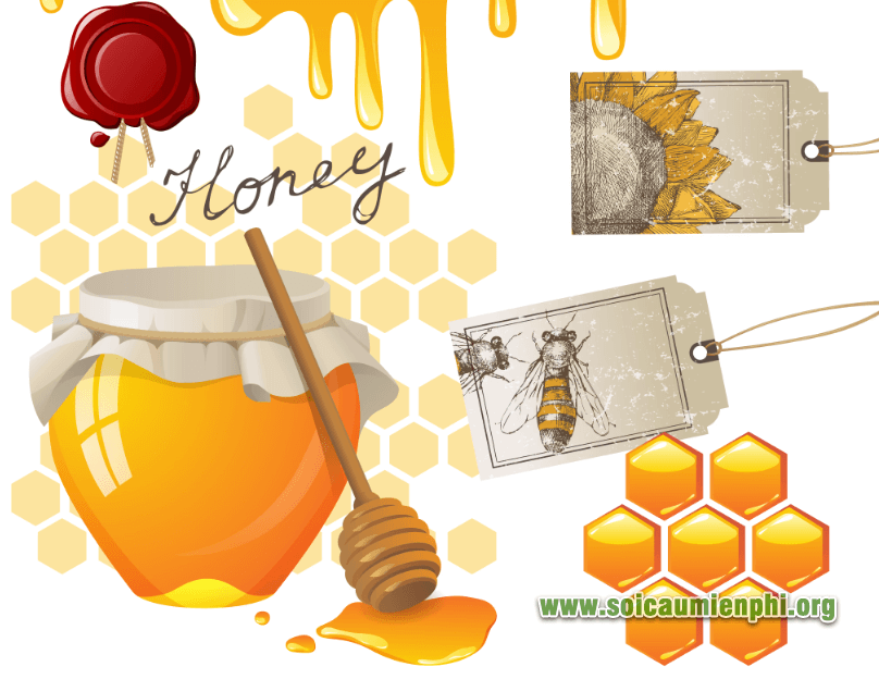 Mơ thấy mật ong điềm báo là gì ?