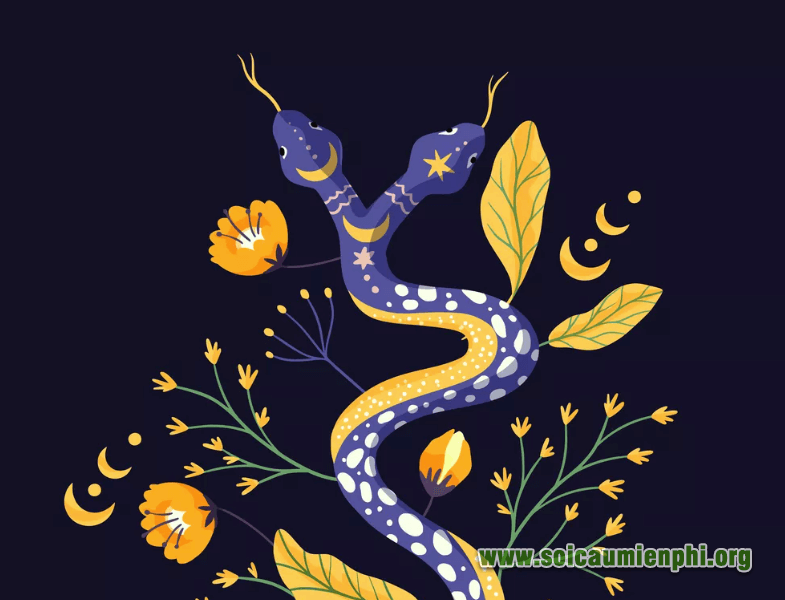 Giải mã ý nghĩa giấc mơ thấy rắn 2 đầu