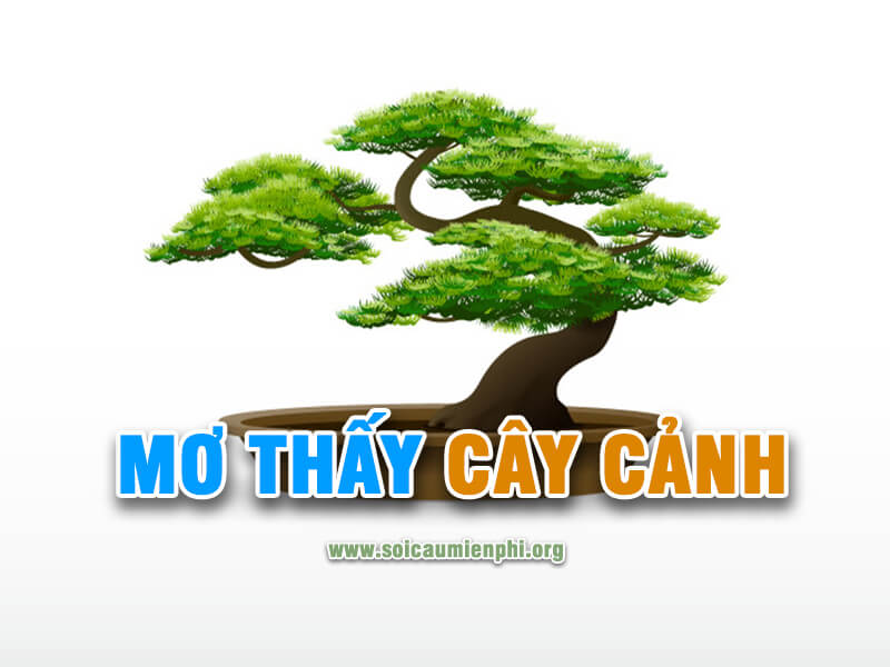 Mơ thấy cây cảnh là số nào bạch thủ hôm nay