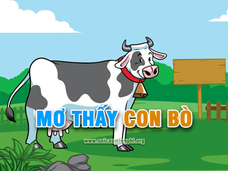 Mơ thấy con bò chơi lô đề số nào ?