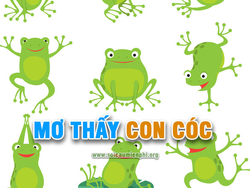 Mơ thấy con cóc đánh lô đề số nào ?