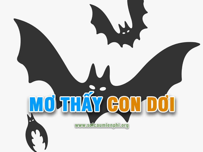 Mơ thấy con dơi là số mấy chơi lô đề siêu chuẩn
