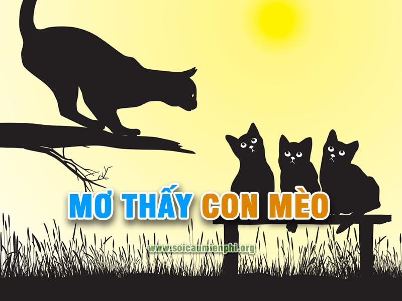 Giải mã ý nghĩa giấc mơ thấy con mèo