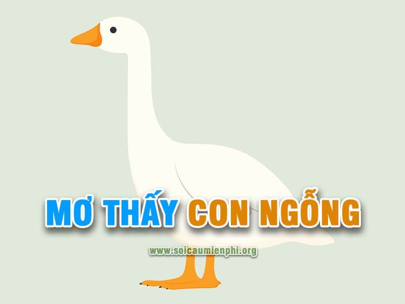 Mơ thấy con ngỗng đánh con gì ?