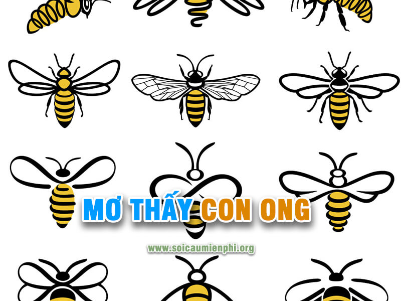 Mơ thấy con ong đánh lô đề số nào ?