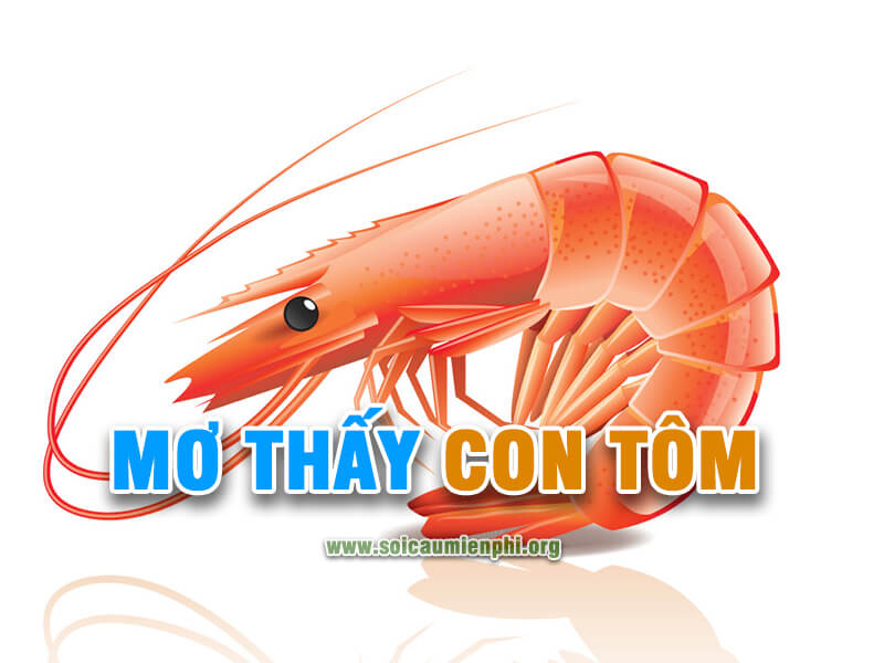 Giải nghĩa giấc mơ thấy con tôm chi tiết