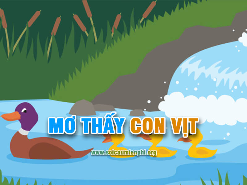 Mơ thấy con vịt đánh lô đề số nào ?
