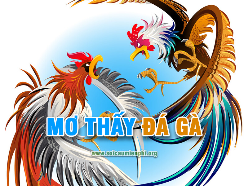 Ngủ mơ thấy đá gà đánh con gì chuẩn ?