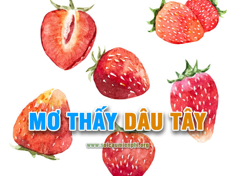 Mơ quả dâu tây chơi số nào bạch thủ hôm nay