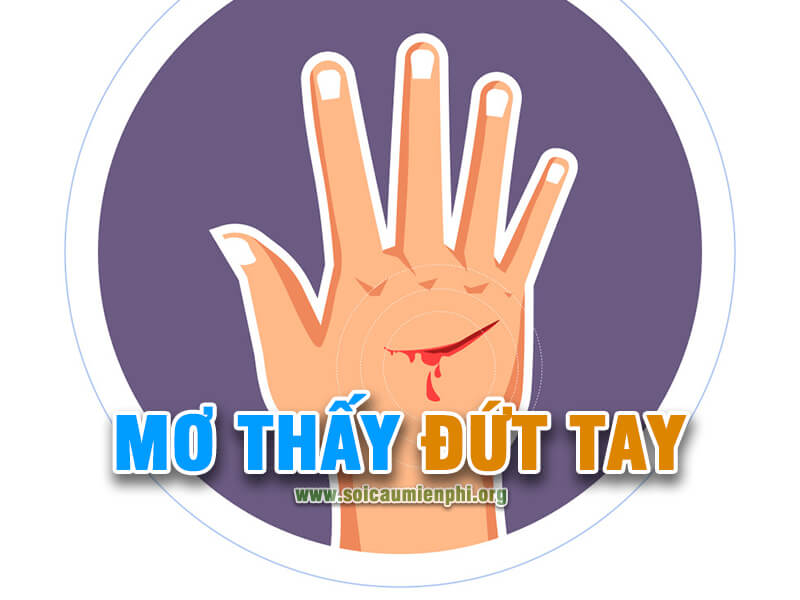 Mơ thấy đứt tay đánh con gì chuẩn ?