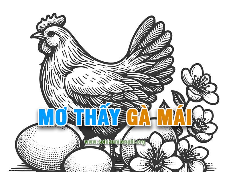 Mơ thấy gà mái đánh lô đề con gì ?