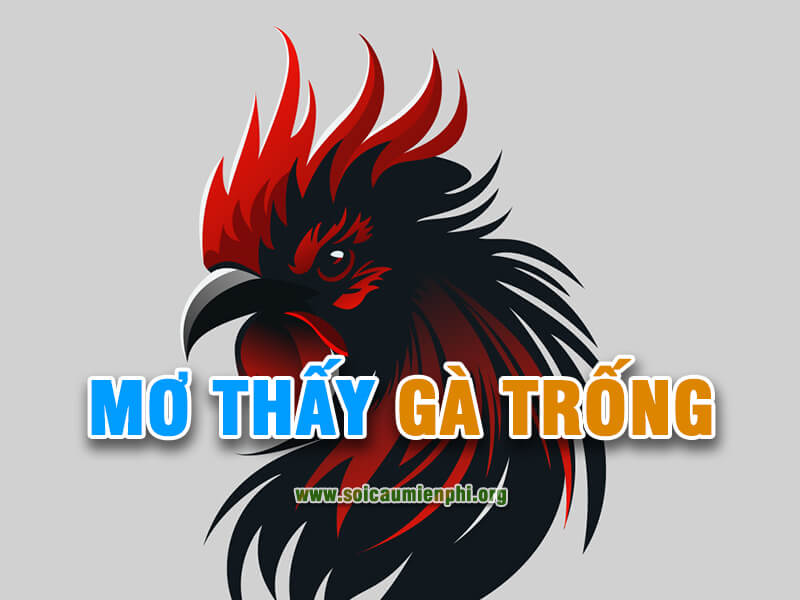 Mơ thấy gà trống đánh lô đề số nào ?