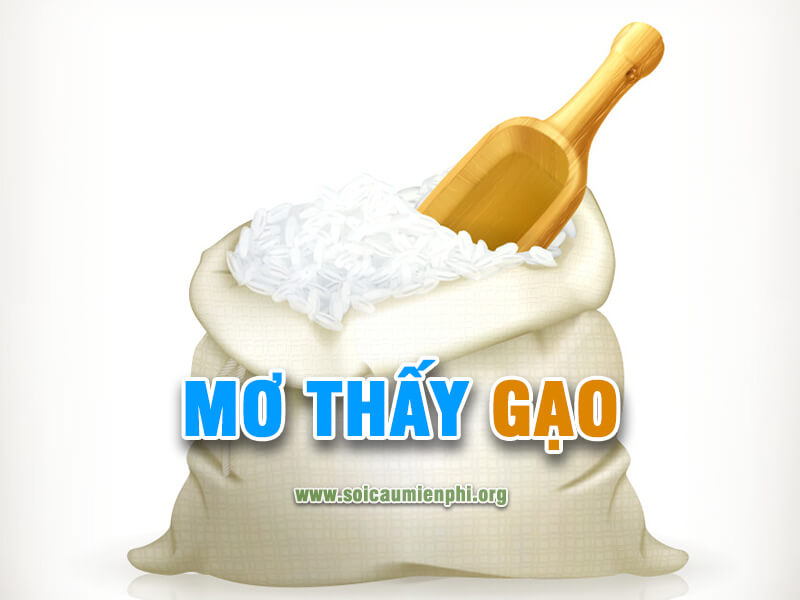 Ngủ mơ thấy gạo đánh lô đề số nào ?