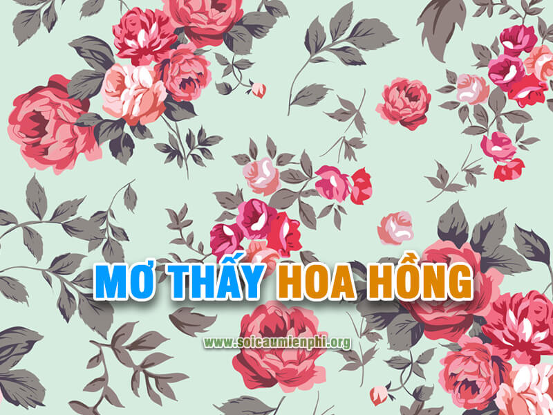 Mơ thấy hoa hồng đánh con gì chuẩn ?