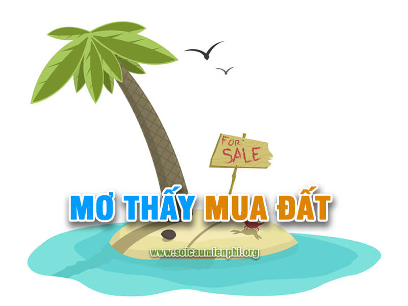 Mơ thấy mua đất đánh con gì ?