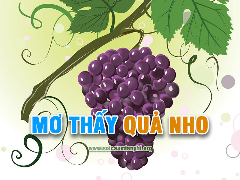 Mơ thấy quả nho là số mấy chiến thắng lô đề