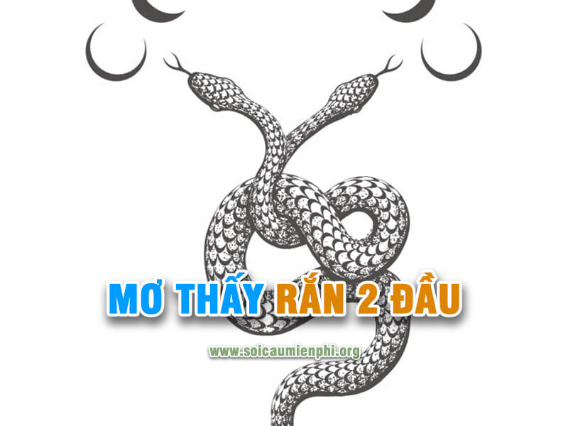 Mơ thấy rắn 2 đầu đánh lô đề số nào ?