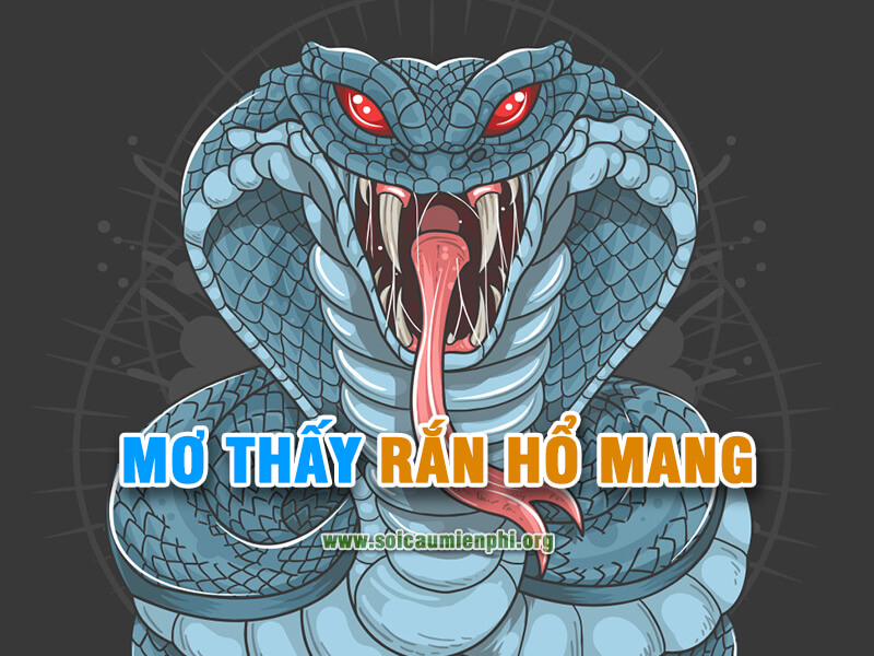 Mơ rắn hổ mang đánh lô đề số nào ?