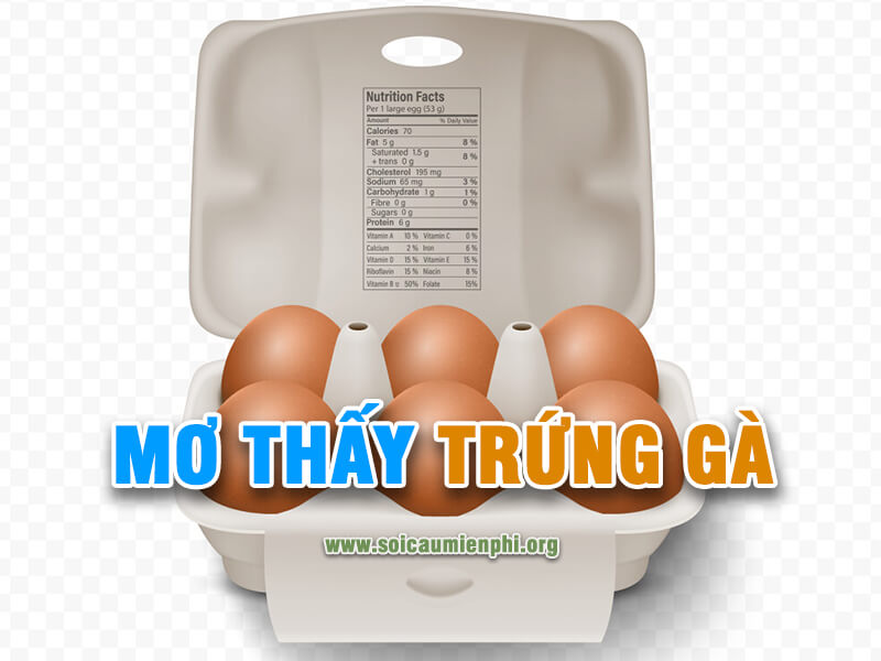 Mơ thấy trứng gà là số nào bạch thủ lô đề hôm nay