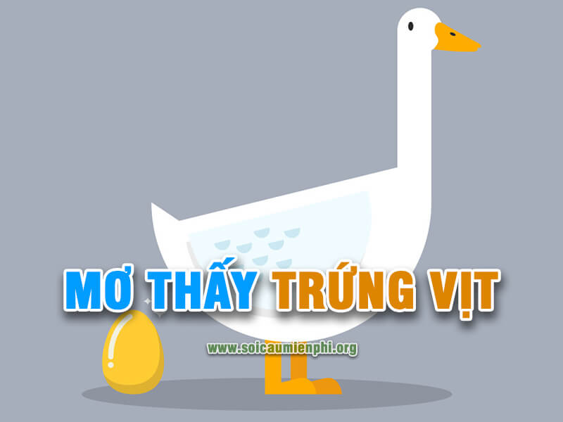 Mơ thấy trứng vịt đánh con gì ?