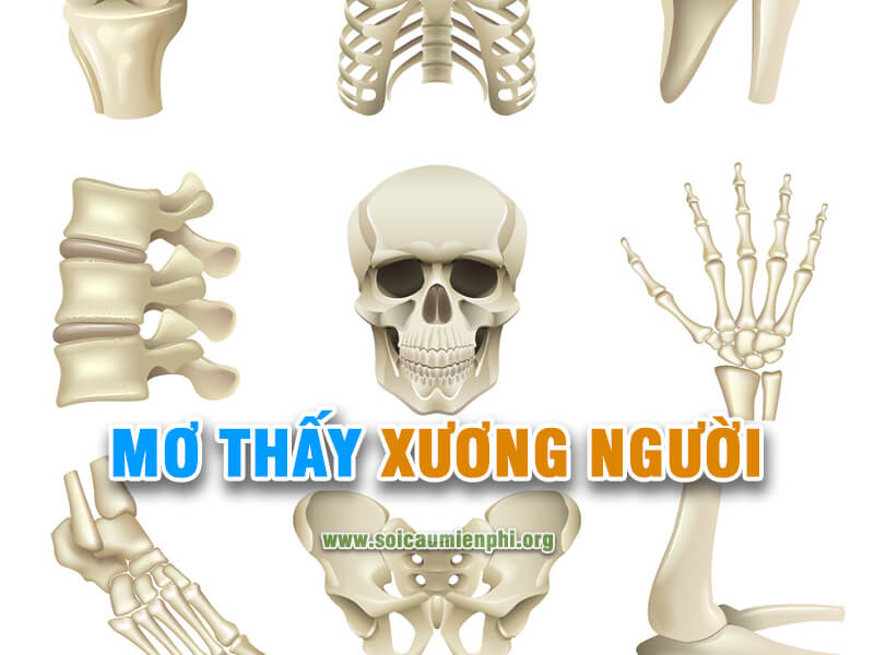 Mơ thấy xương người chết đánh con gì chính xác