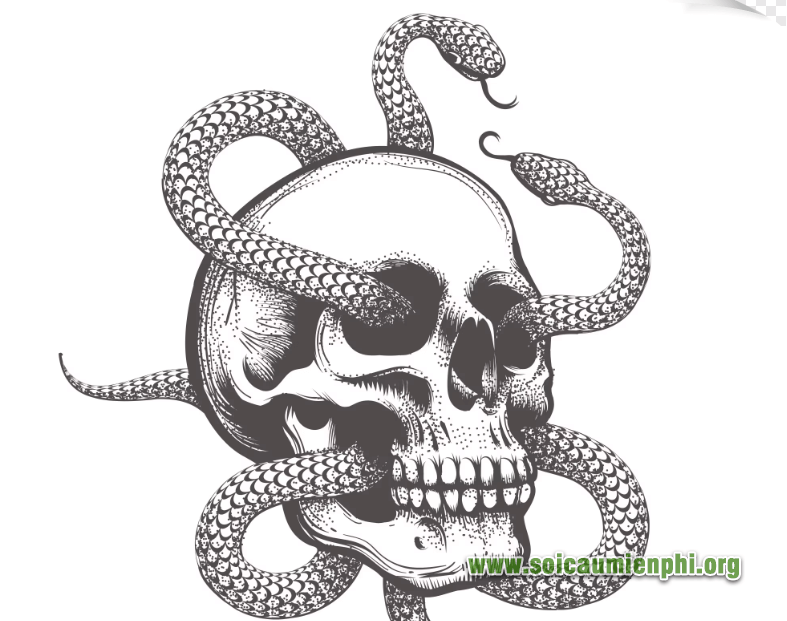 Giải mã ý nghĩa giấc mơ thấy rắn 2 đầu