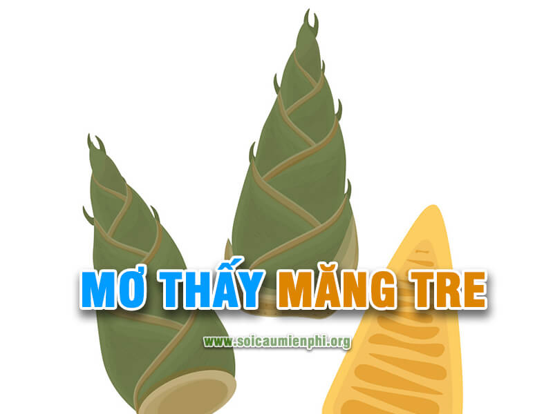 Mơ thấy măng tre đánh con gì chuẩn ?