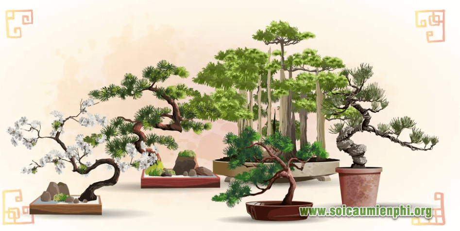 Mơ thấy cây cảnh điềm báo như thế nào chuẩn ?