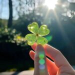 🍀💕NPN💕🍀