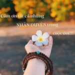 🌟Xương Rồng🌟