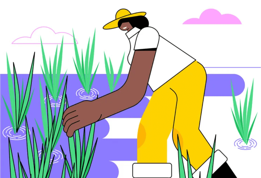 Mơ thấy cây lúa