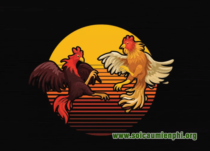 Mơ thấy đá gà điềm báo như thế nào ?