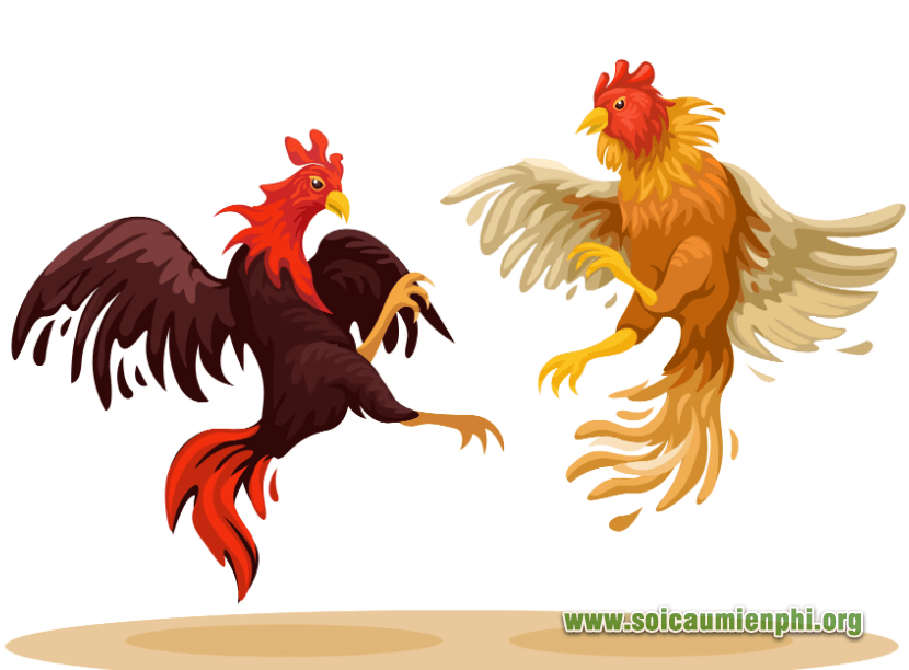 Mơ thấy đá gà điềm báo như thế nào ?