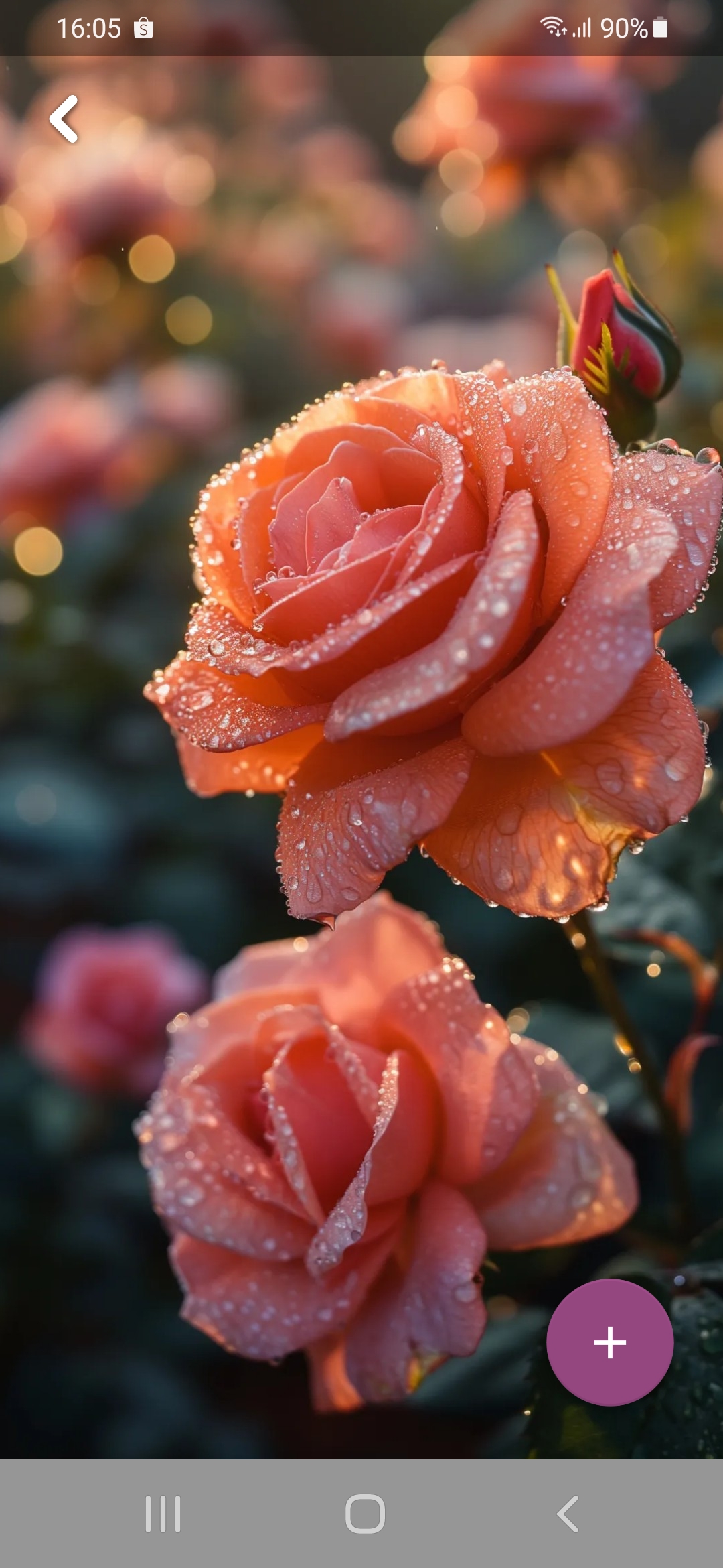 ROSE-456789